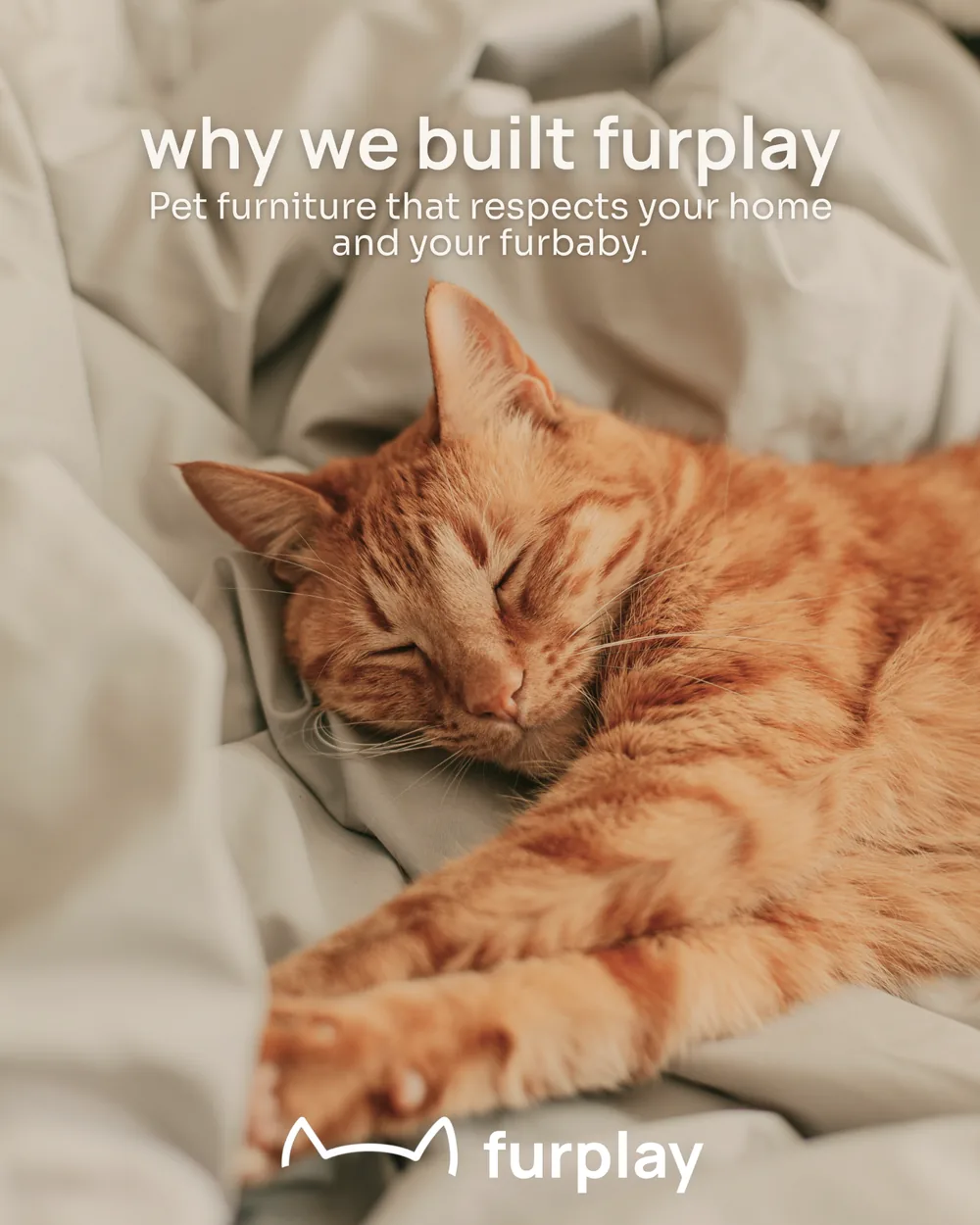 Cat sleeping with why we built Furplay message